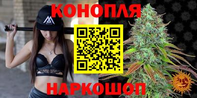 apvp Лесосибирск