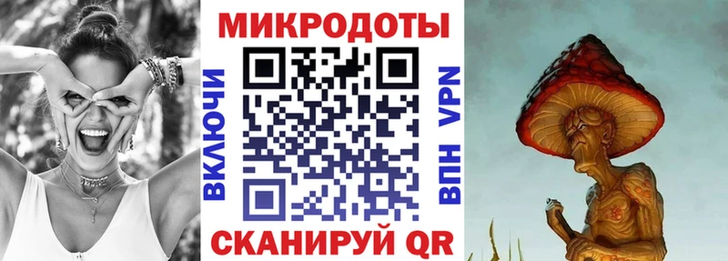 Галлюциногенные грибы Psilocybe  Гулькевичи 