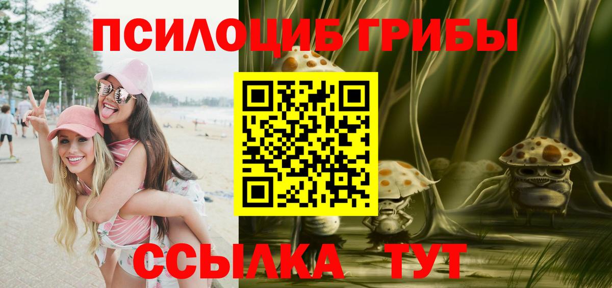 Гулькевичи  Псилоцибиновые грибы ЛСД  Вход с VPN 