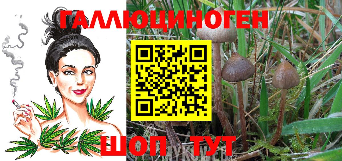 Псилоцибиновые грибы прущие грибы Гулькевичи